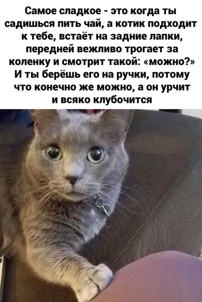 Смешная картинка №456289 Ax