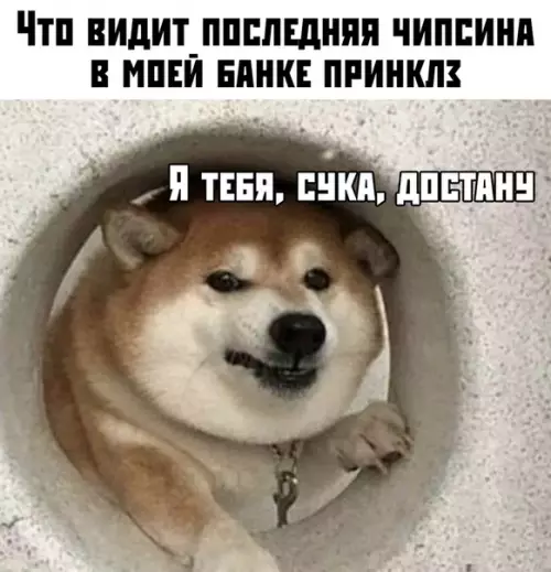Смешная картинка №375568
