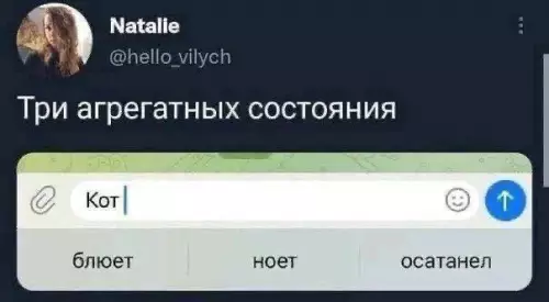 Смешная картинка №677631 коты