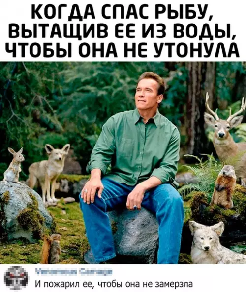 Смешная картинка №500050