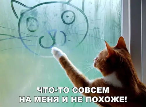 Смешная картинка №248808