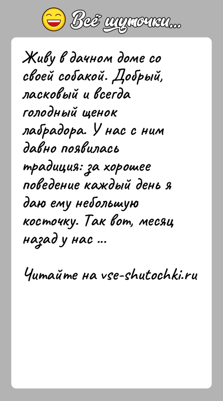 История: Живу в дачном доме со своей собакой. Добрый, ласковый и всегда голодный щенок лабрадора. У нас с ним давно появилась