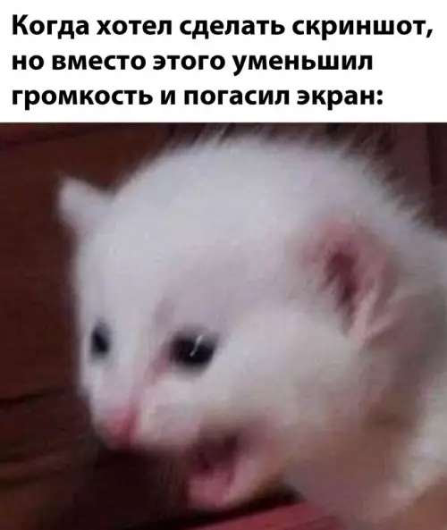 Смешная картинка №708652