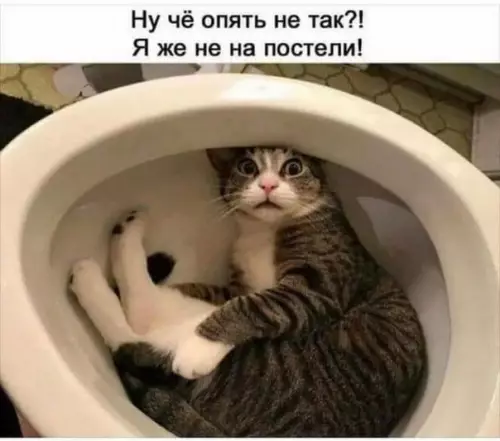 Смешная картинка №393394