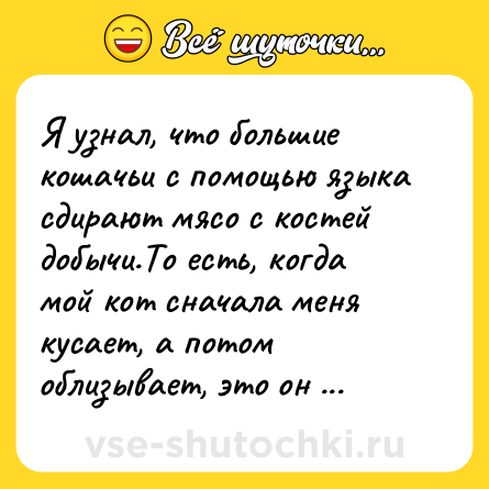 Шутка: Я узнал, что большие кошачьи с помощью языка сдирают мясо с костей добычи.То есть, когда мой кот сначала меня кусает, а потом облизывает, это он не прощения просит???