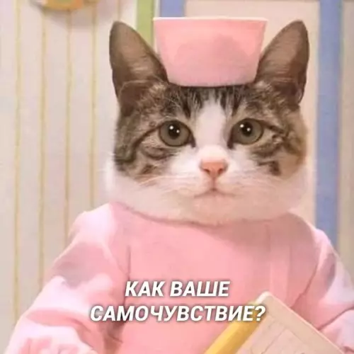 Смешная картинка №415488 Лyчшее лекaрство от всех проблем