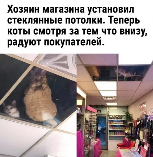 Смешная картинка №710725