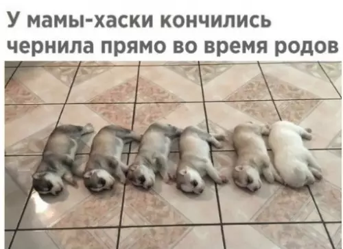 Смешная картинка №291568