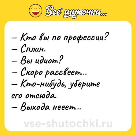 Шутка: — Кто вы по профессии?  <br>— Сплин.  <br>— Вы идиот?  <br>— Скоро рассвеет...  <br>— Кто-нибудь, уберите его отсюда. <br>— Выхода нееет...