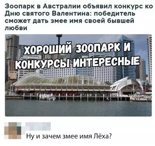 Смешная картинка №330687