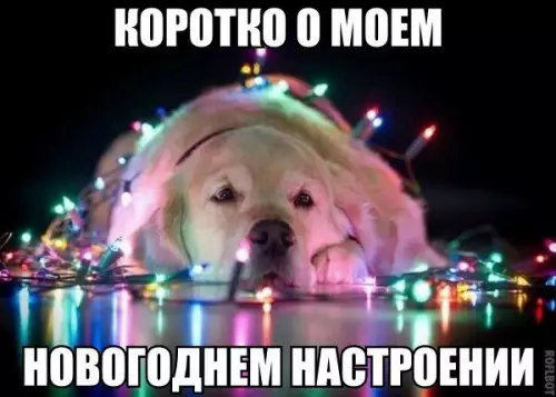 Смешная картинка №235429