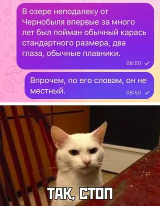 Смешная картинка №692630