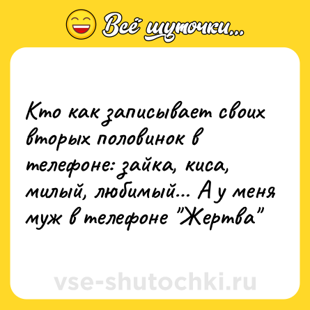Шутка: Кто как записывает своих вторых половинок в телефоне: зайка, киса, милый, любимый… А у меня муж в телефоне 