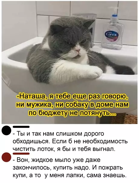 Смешная картинка №553927 Xoзяин