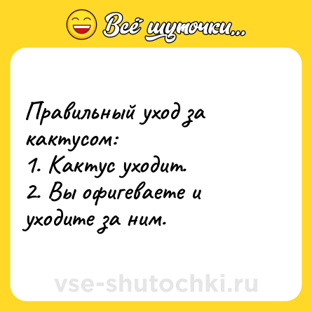 Шутка: Правильный уход за кактусом:<br>1. Кактус уходит.<br>2. Вы офигеваете и уходите за ним.