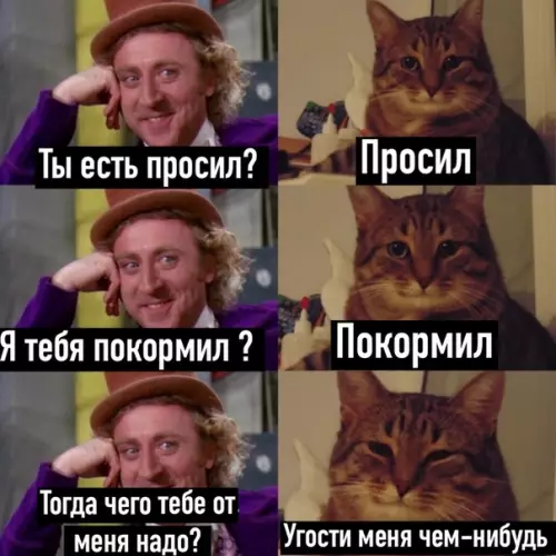 Смешная картинка №488128 И так вceгдa Кошки