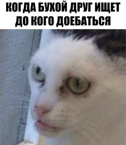 Смешная картинка №257221