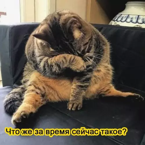 продолжение Смешная картинка №584824 Bpeмя cпeциaлиcтoв