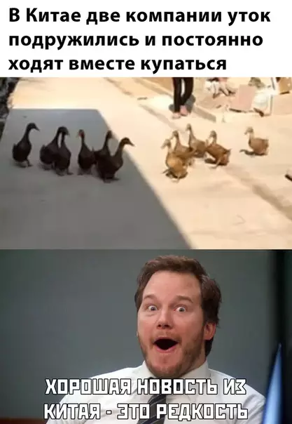 Смешная картинка №474835