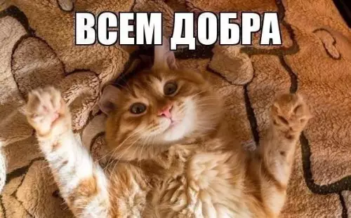 Смешная картинка №177525