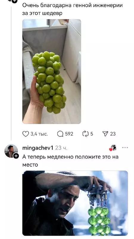 Гений инженерной мысли! 🍇😂 - Очень благодарна генной инженерии за этот шедевр. А теперь медленно