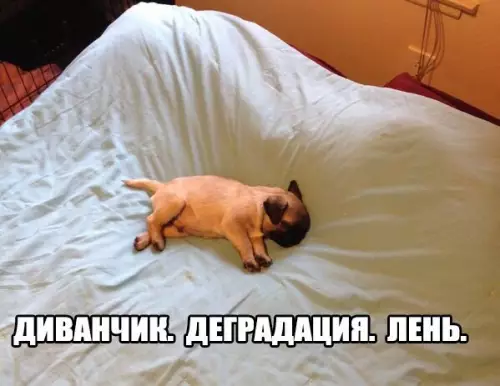 Смешная картинка №245534