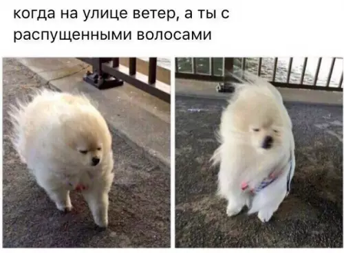 Смешная картинка №282275
