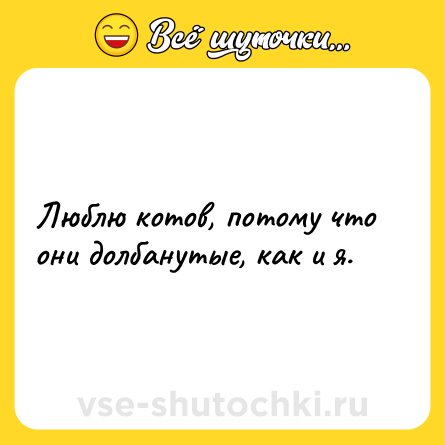 Шутка: Люблю котов, потому что они долбанутые, как и я.