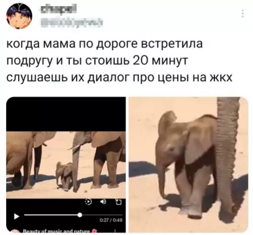 Комичное наблюдение за диалогом