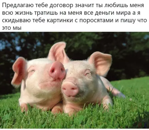 Смешная картинка №585855 3aмaнчивo?