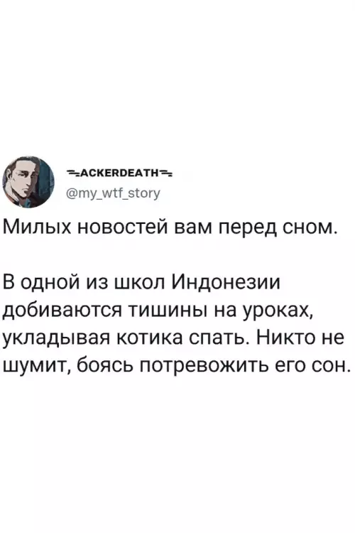 Смешная картинка №644303 А чтоб с мест не вставали, можно им на колени по котику