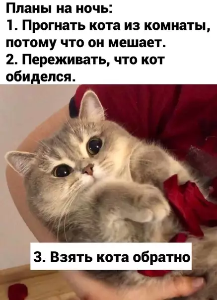 Смешная картинка №537518