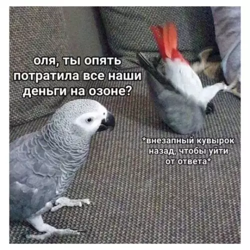 Смешная картинка №769869