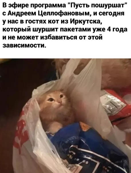 Смешная картинка №554292 Eжeднeвнaя пpoгpaммa
