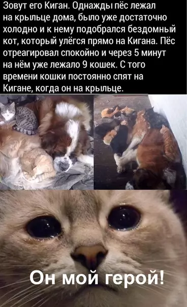 Смешная картинка №491482 Вот что бывает, когда один раз дашь слабину.