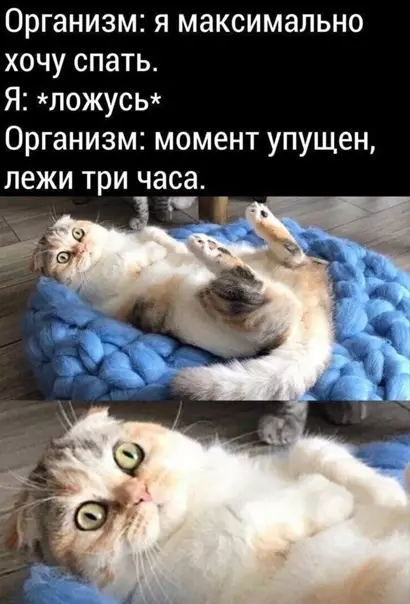 Смешная картинка №539614 Максимaльнo жизнeннo.