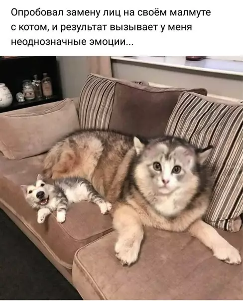 Смешная картинка №276141