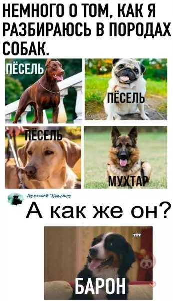 Смешная картинка №513052 Точняк, еще и Барон!