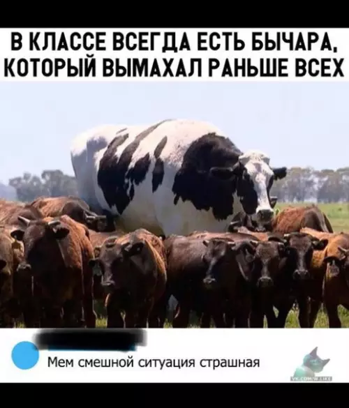 Смешная картинка №328751