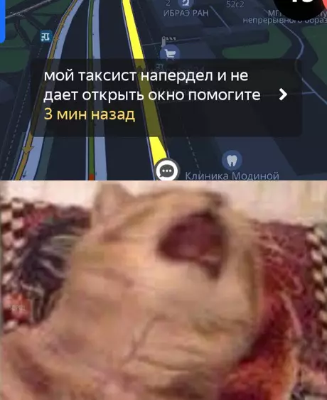 Смешная картинка №389918