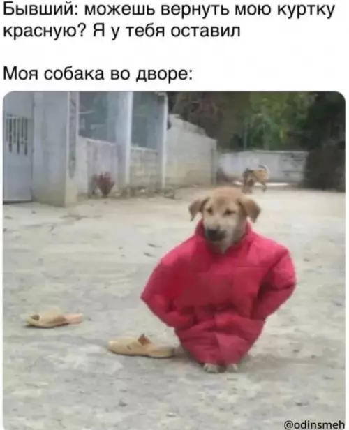 Смешная картинка №659508