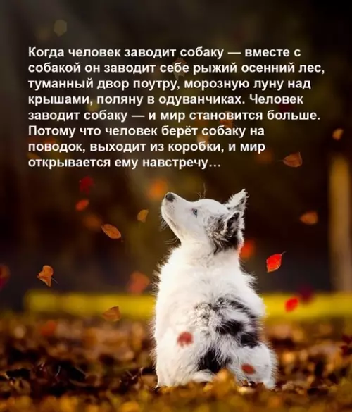 Смешная картинка №531625 Лучше и не скажешь!!!