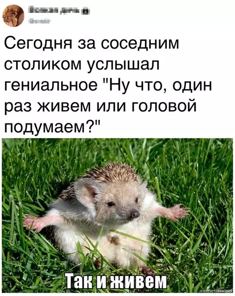 Смешная картинка №349124