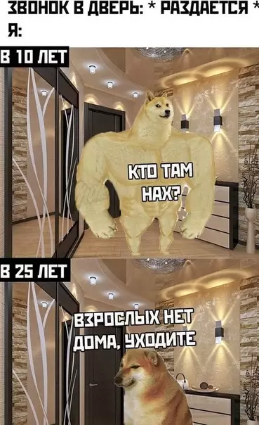 Смешная картинка №498565