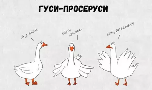Смешная картинка №233548 Мои тотемные животные