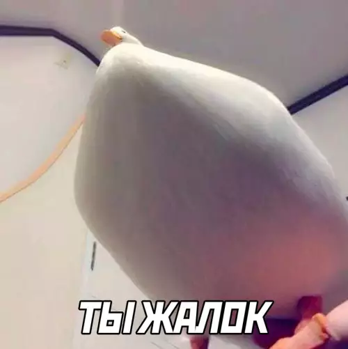 продолжение Смешная картинка №667782 Лучший тренер