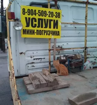 Смешная картинка №650767 Котейка зарабатывает на жизнь тяжелый трудом. Поддержим.