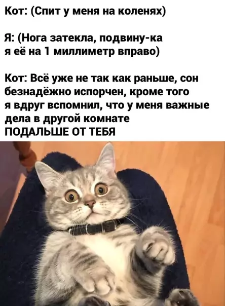 Смешная картинка №460678
