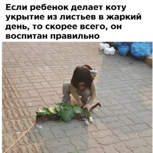 Смешная картинка №271377
