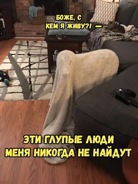 Смешная картинка №278173
